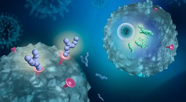 La profesora Nabila Seddiki, que está probando los medicamentos, dijo que el desarrollo de nuevos medicamentos fue un paso emocionante en la lucha contra el COVID-19.