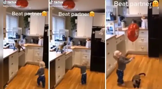 La escena ha cautivado a miles en las redes sociales.