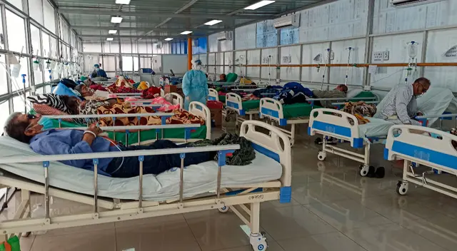 Conoce todos los detalles sobre el hongo negro. Conoce todos los detalles sobre el hongo negro.