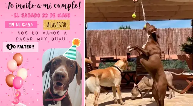 Moka celebró su cumpleaños número 3. Moka celebró su cumpleaños número 3.