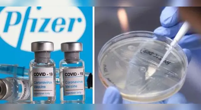 Vacuna de Pfizer es “ligeramente” menos efectiva contra la variante india del coronavirus, afirma estudio