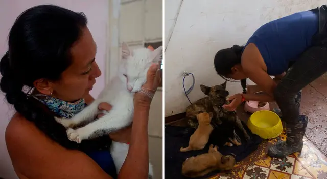 Dinah se ha ganado el cariño y respeto de miles de personas en redes sociales. Dinah se ha ganado el cariño y respeto de miles de personas en redes sociales.