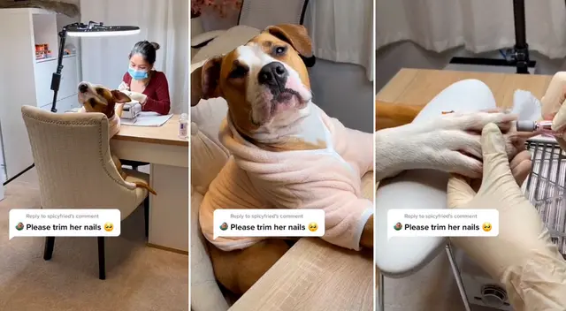 El divertido video logró obtener más  7millones de reproducciones en TikTok.