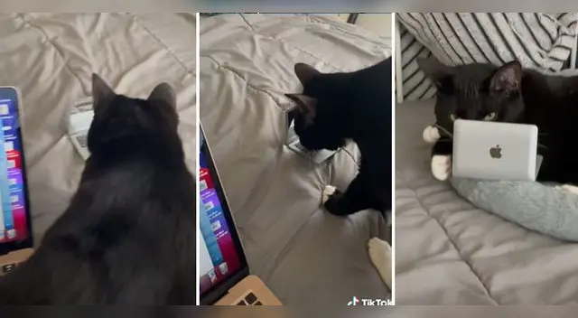 La escena ha causado furor en las redes sociales.