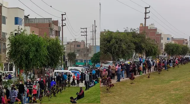 Largas colas de adultos mayores en los exteriores de la Municipalidad de Comas Largas colas de adultos mayores en los exteriores de la Municipalidad de Comas