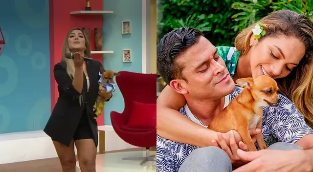 Isabel Acevedo llegó a América Hoy tras viaja a Miami, y aseguró que actualmente es la única que cuida de Hércules, su perro con Christian Domínguez.