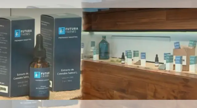 Venta de canabbis medicinal será con receta medica.