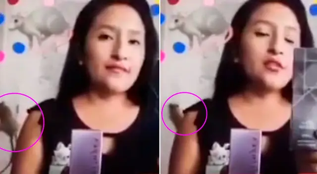 La joven no imaginó que su transmisión sería interrumpida por la rata.