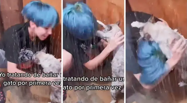 El felino se defendió con garras y dientes.