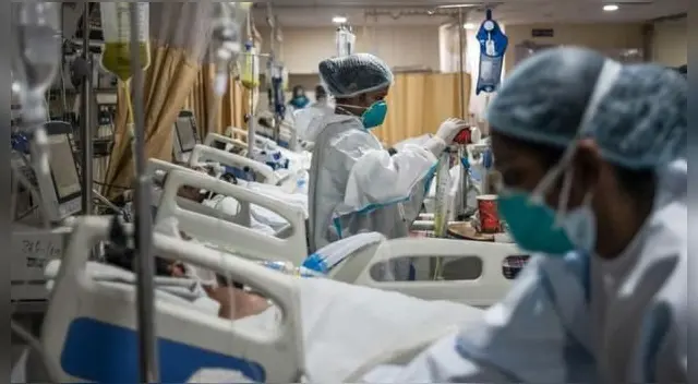 COVID-19: conoce detalles de hongo negro que amenaza la recuperación de pacientes infectados COVID-19: conoce detalles de hongo negro que amenaza la recuperación de pacientes infectados