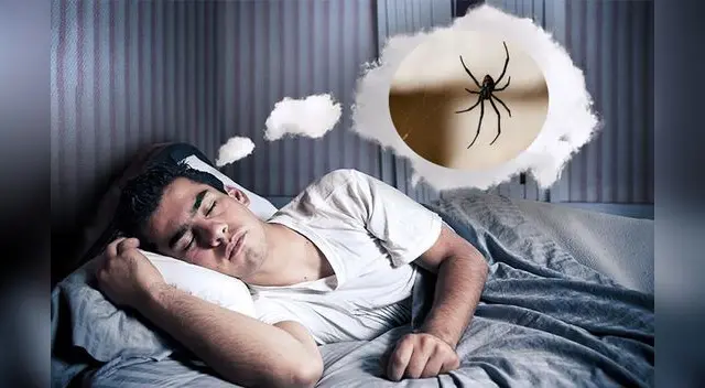 Interpretación de los sueños: ¿Que significa soñar con arañas que te pican? Interpretación de los sueños: ¿Que significa soñar con arañas que te pican?