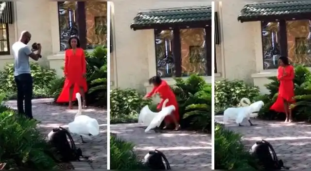 La escena ha causado sensación en las redes sociales. La escena ha causado sensación en las redes sociales.