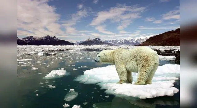 “La tarea es colosal. Tenemos que replantar y proteger nuestros bosques, limpiar nuestros ríos y mares y hacer más verdes nuestras ciudades”, señaló Guterres.