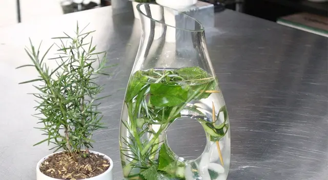 Agrega un toque aromático con alguna hierba de tu elección, como albahaca, romero o menta. Agrega un toque aromático con alguna hierba de tu elección, como albahaca, romero o menta.