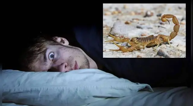 ¿Qué significa soñar con alacranes amarillos?