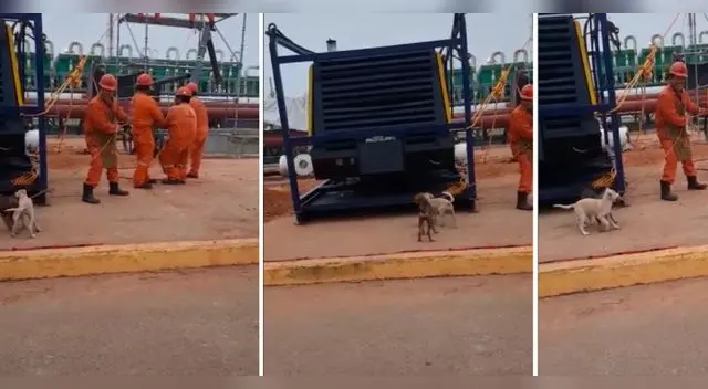 La escena ha causado furor en las redes sociales. La escena ha causado furor en las redes sociales.