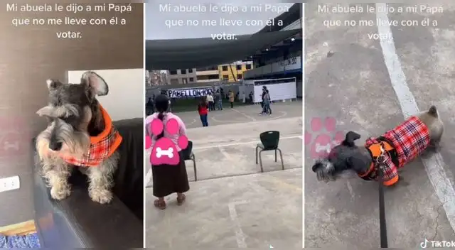 La escena ha causado furor en las redes sociales. La escena ha causado furor en las redes sociales.