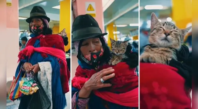 El video se ha vuelto viral en las redes sociales. El video se ha vuelto viral en las redes sociales.