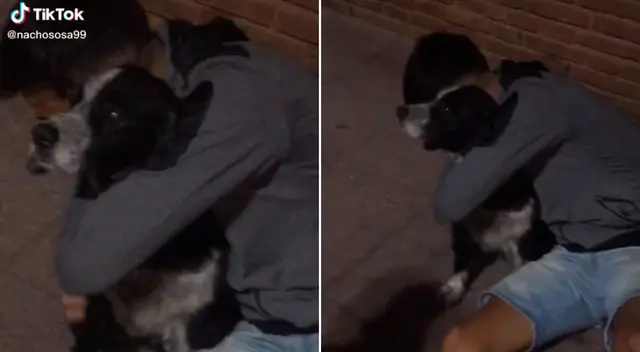 El joven no dudó en abrazar a la mascota en plena calle. El joven no dudó en abrazar a la mascota en plena calle.