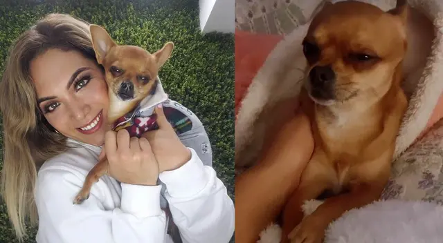 Isabel Acevedo muestra cómo llena de mimos a su perrito Hércules. Isabel Acevedo muestra cómo llena de mimos a su perrito Hércules.