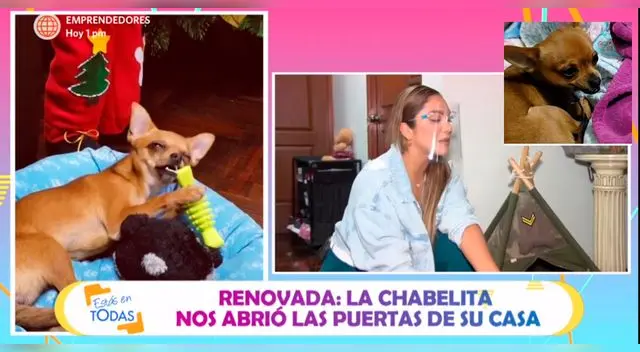 Isabel Acevedo habla sobre su perrito Hércules. Isabel Acevedo habla sobre su perrito Hércules.