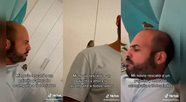 La mujer captó la enternecedora relación del hombre con su mascota. Foto: captura de TikTok La mujer captó la enternecedora relación del hombre con su mascota. Foto: captura de TikTok