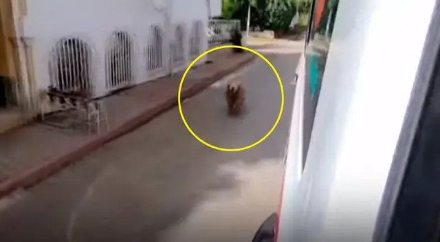 Facebook viral Facebook viral