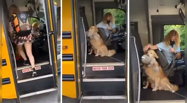 La escena ha cautivado a miles en las redes sociales. La escena ha cautivado a miles en las redes sociales.