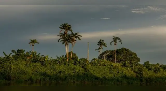 Ucayali espera que zona del Alto Tamaya-Abujao  sea declarada Área de Conservación  Regional