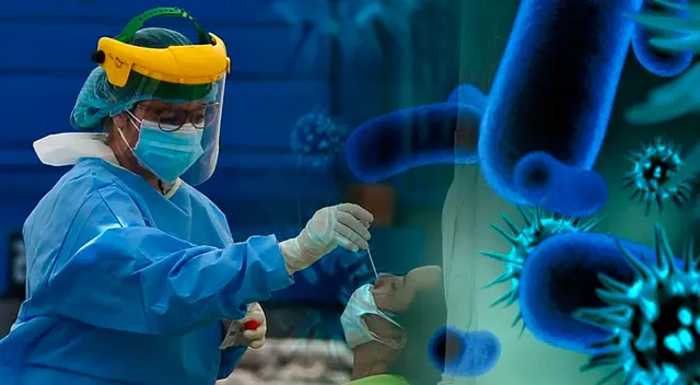 Se trata del segundo caso de hongo negro en Honduras. Se trata del segundo caso de hongo negro en Honduras.