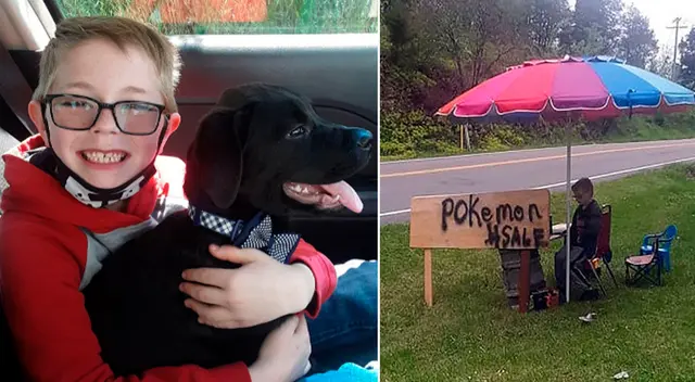 El pequeño puso en venta su colección más preciada para salvar la vida de su mascotas.