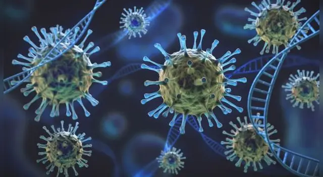 Variantes o cepas como la india, británica, brasileña o, la reciente hallada y que causa preocupación es la andina que ya se encuentra circulando en Sudamérica. Variantes o cepas como la india, británica, brasileña o, la reciente hallada y que causa preocupación es la andina que ya se encuentra circulando en Sudamérica.