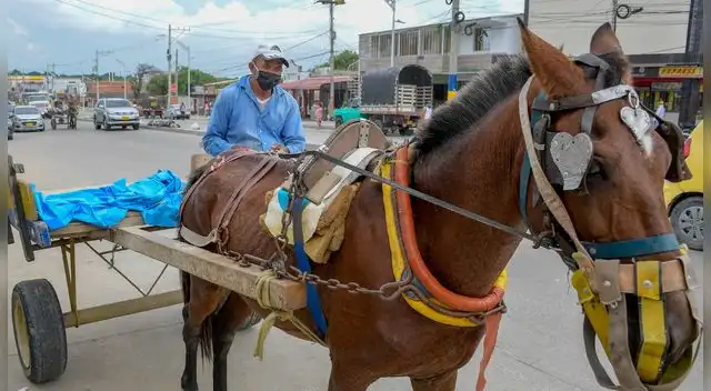 El objetivo de esta reforma en favor de los animales es que se pueda reducir de forma progresiva esta practica.