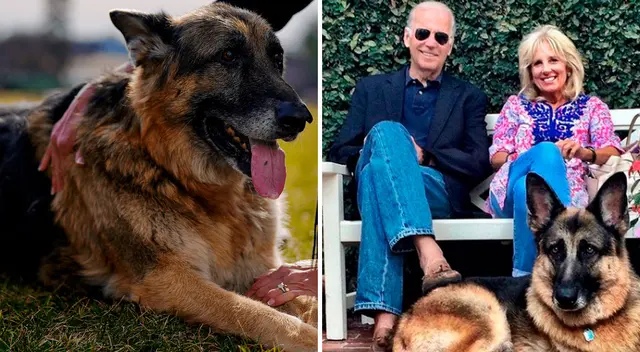 Joe Biden y su familia están de luto por la muerte de Champ.