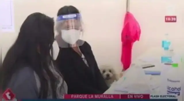 Elecciones 2021: Acudió a votar con su perro, pero terminó siendo miembro de mesa