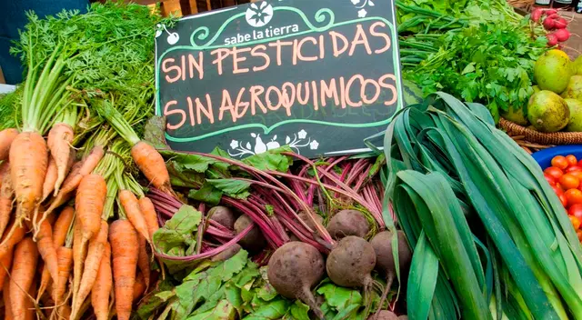 La agricultura ecológica utiliza menos agua, por sus técnicas de labranza. La agricultura ecológica utiliza menos agua, por sus técnicas de labranza.