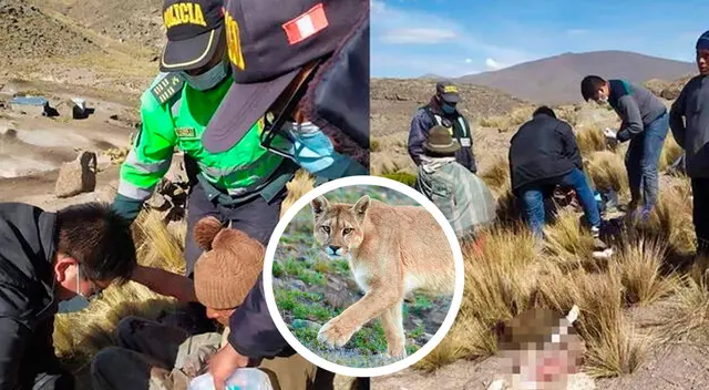 Agentes de la comisaría de San Juan Tarucani llegaron hasta la alejada localidad para auxiliar al herido.