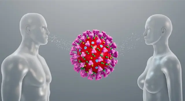 Los anticuerpos pueden durar entre 6 a 12 meses.