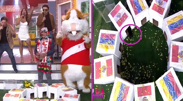 Cuy Renato augura un gol para Perú en su partido ante Venezuela. Cuy Renato augura un gol para Perú en su partido ante Venezuela.