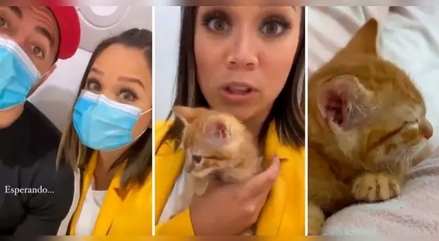 Andrea San Martín presentó a su nueva mascota en redes sociales. Andrea San Martín presentó a su nueva mascota en redes sociales.