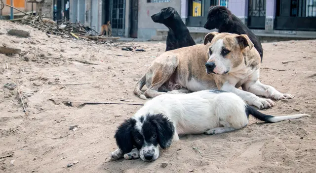 Iniciativa fue aprobada por la Comisión de Pueblos del Congreso. Iniciativa fue aprobada por la Comisión de Pueblos del Congreso.