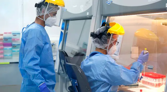 Pruebas moleculares fueron tomadas entre el mes de enero a junio del presente año, y finalmente analizadas por el INS Pruebas moleculares fueron tomadas entre el mes de enero a junio del presente año, y finalmente analizadas por el INS