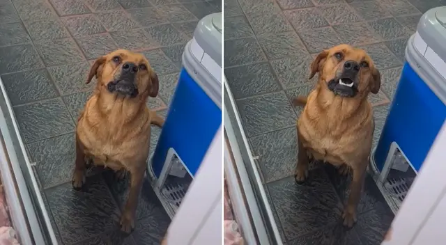 El emotivo video conmovió a miles en TikTok.