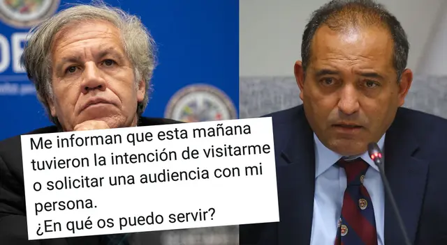 Peculiar conversación que tuvo Daniel Córdova en Twitter generó diversas reacciones. Peculiar conversación que tuvo Daniel Córdova en Twitter generó diversas reacciones.