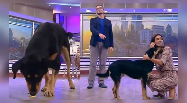 La escena ha causado furor en las redes sociales.