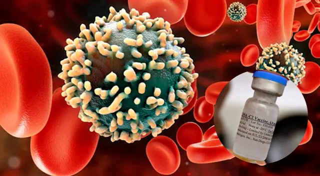 En el mundo hay 9 subtipos virales de VIH. Cada variante se diferencia por su distribución geográfica, conformación genética y estructura. En el mundo hay 9 subtipos virales de VIH. Cada variante se diferencia por su distribución geográfica, conformación genética y estructura.