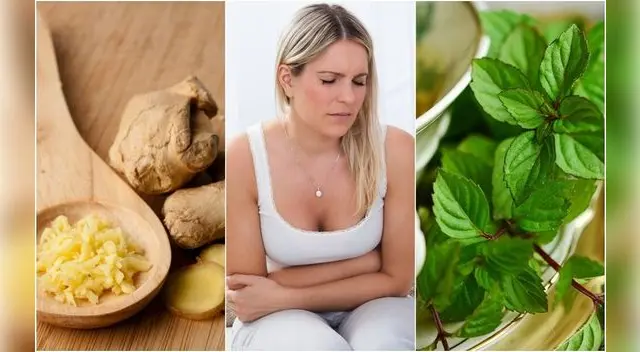 Es importante precisar que si se observa la presencia de sangre o moco es importante buscar ayuda medica inmediata. Es importante precisar que si se observa la presencia de sangre o moco es importante buscar ayuda medica inmediata.