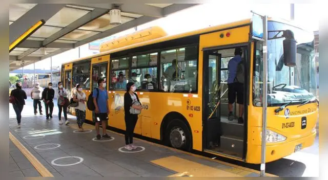 Metropolitano reanudará sus turas alimentadoras, anunció AFIN.