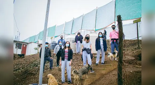 Escolares del colegio Markham Escolares del colegio Markham