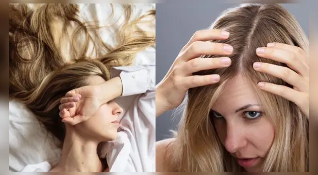 ¿Qué significa soñar con piojos y garrapatas en la cabeza?